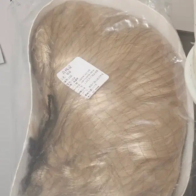 [BUNJANG] Platinum Blonde Wig / 백금발 가발