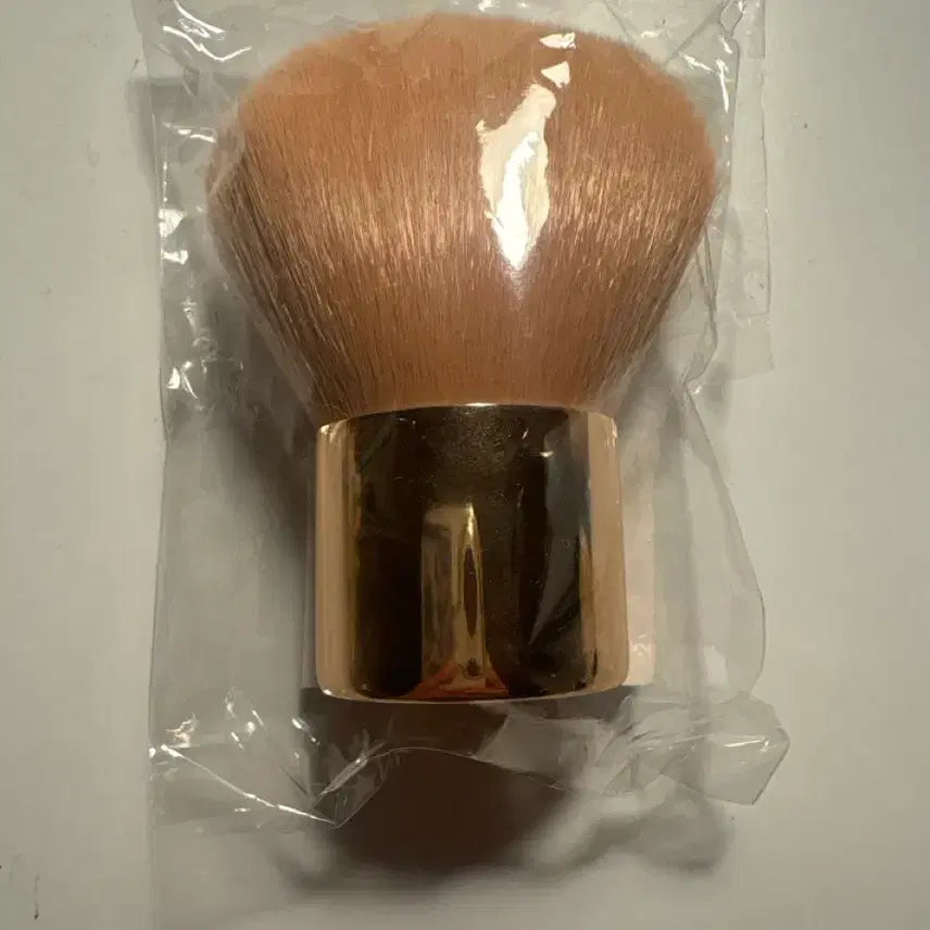 [BUNJANG] 3CE Blurring Brush Winter Edition 2022 Limited Edition / 쓰리씨 불러서브러쉬