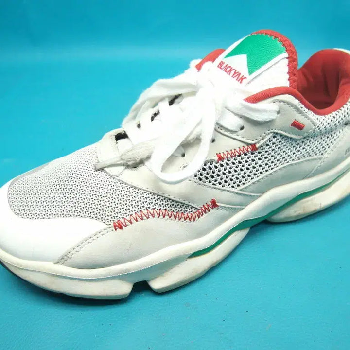 [BUNJANG] Blackyak Coolbreed Walking Shoes - Size 250 / 250/sb0-315/블랙야크 쿨브리드 워킹화 운동화/구제특별시