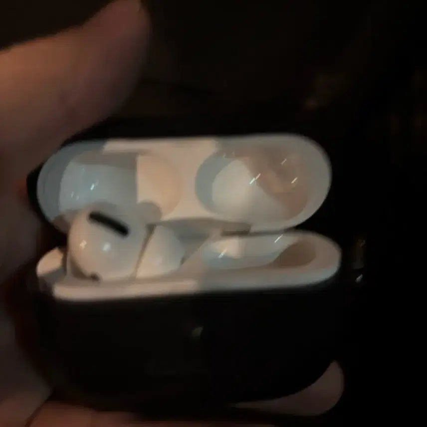 [BUNJANG] Apple AirPods Pro 1st Gen Left Earbud &amp; Case / 에어팟 프로 1세대 왼쪽 &amp; 케이스