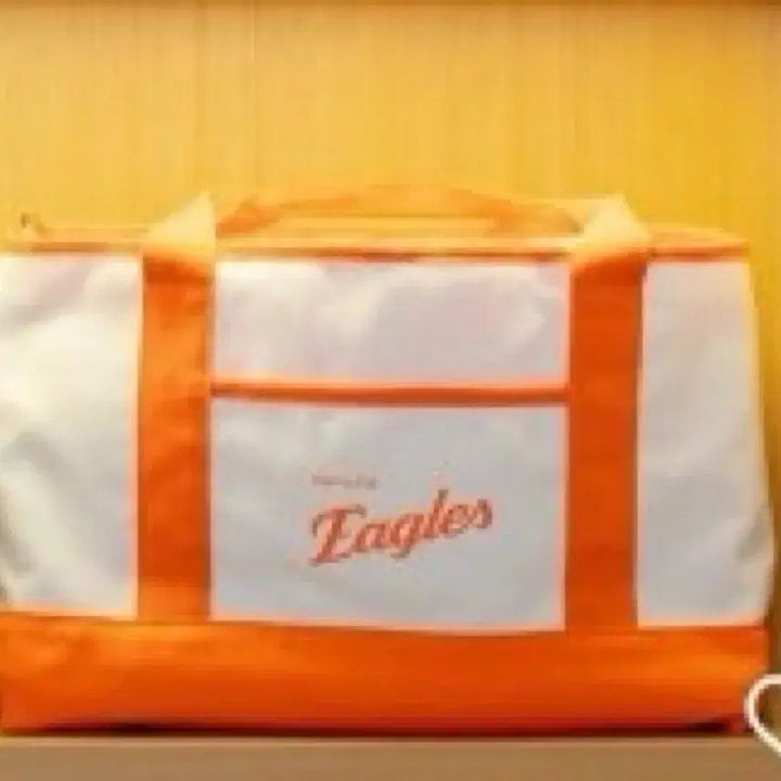 [BUNJANG] Hanwha Eagles Insulated Boston Bag New / 한화이글스 한화 보냉보스턴백 새상품 반택포