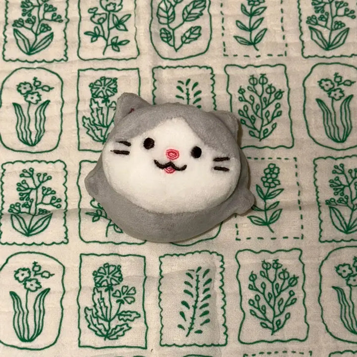 [BUNJANG] Cute Cat Character Stress Ball Squishy Toy / 고양이 캐릭터 스트레스볼 말랑이 인형