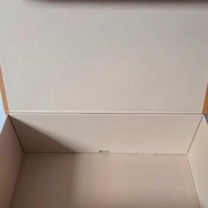 [BUNJANG] Louis Vuitton Shopping Bag and Box / 루이비통 쇼핑백 및 박스