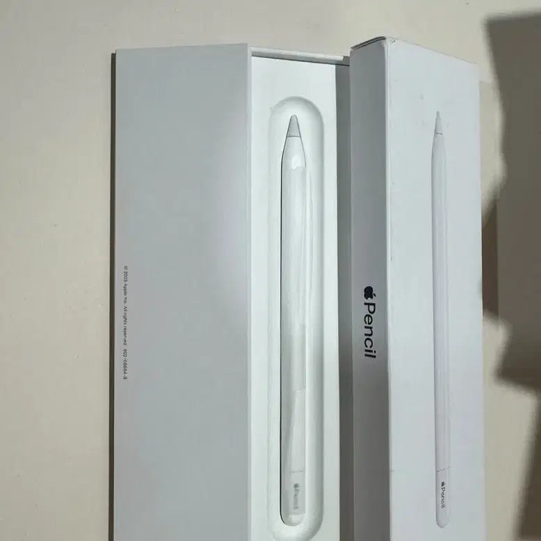 [BUNJANG] Apple Pencil USB-C / 애플펜슬 usb c타입