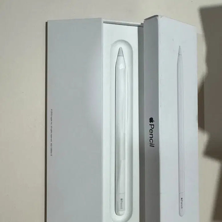 [BUNJANG] Apple Pencil USB-C / 애플펜슬 usb c타입