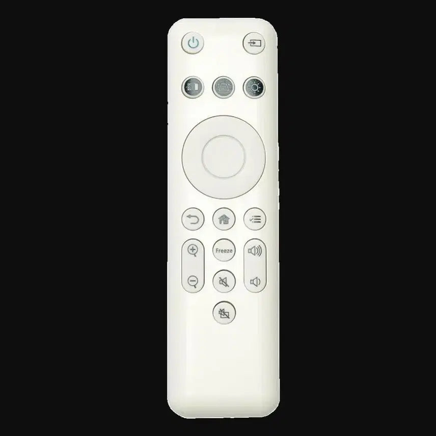 [BUNJANG] Epson Projector Remote Control (Model CO-) / 엡손 빔프로젝터 리모컨 모델명 CO-