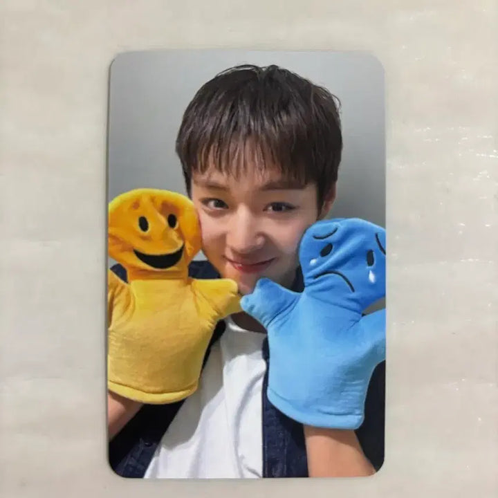 [BUNJANG] Park Jihoon Album Photocard / 박지훈 앨범 급처ㅠㅠ