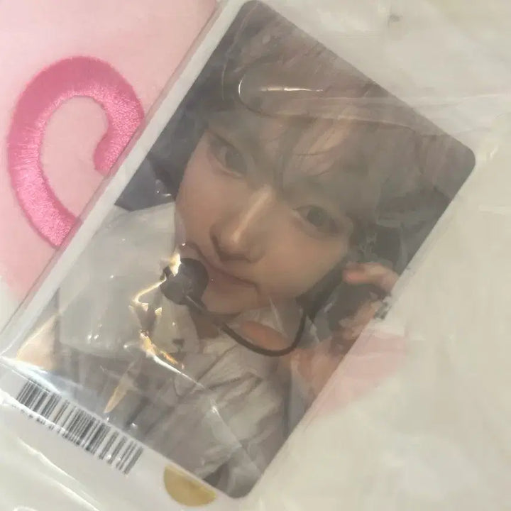 [BUNJANG] NCT WISH Wish N Cheery Cushion Photocard Sakuya / 엔시티위시 위시니니 쿠션 포카 양도 사쿠야