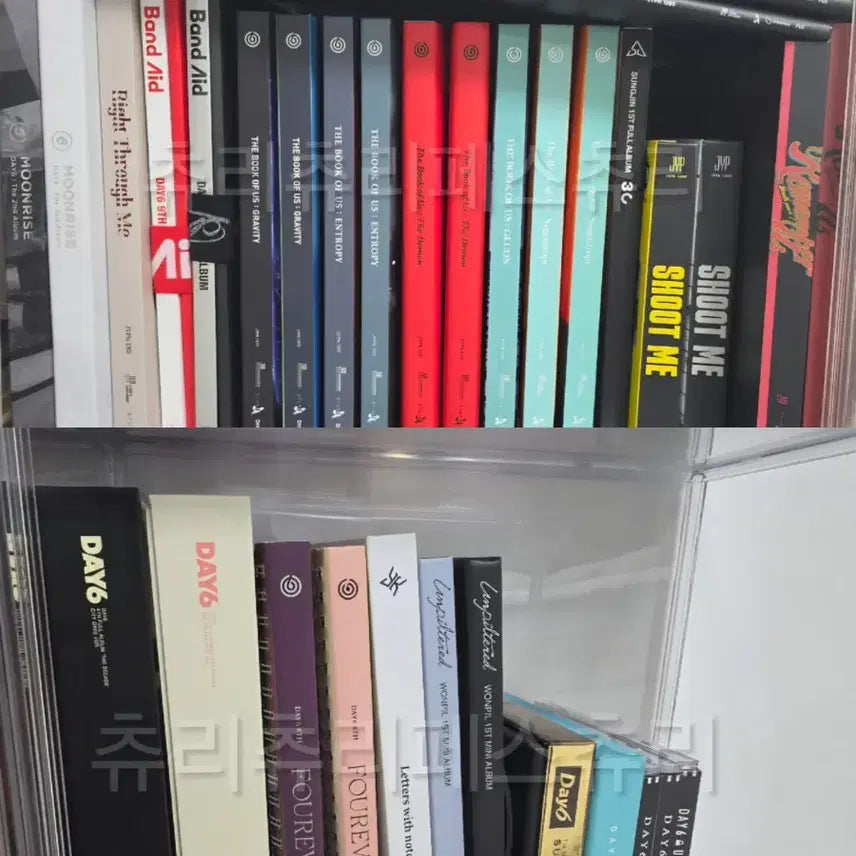 [BUNJANG] Day6 Album Bundle Set (Includes Japanese Albums, Components, and Photocards) / 데이식스 앨범 일괄 양도+일본앨범포함(구성품+포카 포함)