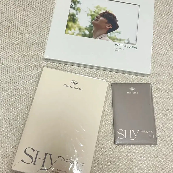 [BUNJANG] g.o.d. Danny Ahn 20th Anniversary Exhibition Photocard &amp; Postcard Mini Album Bundle Set (Sealed) / 지오디 손호영 굿즈 포카&amp;엽서 미니앨범 미개봉 일괄