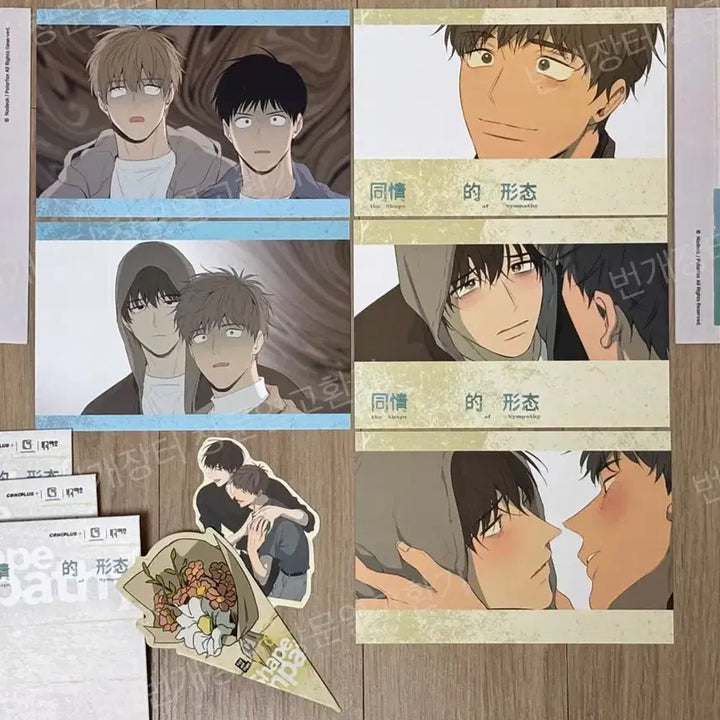 [BUNJANG] Shape of Virginity COMIPLUS Collaboration Postcard Set &amp; Bouquet Card / 동정의 형태 COMIPLUS 콜라보 특전 엽서 세트 및 꽃다발 카드