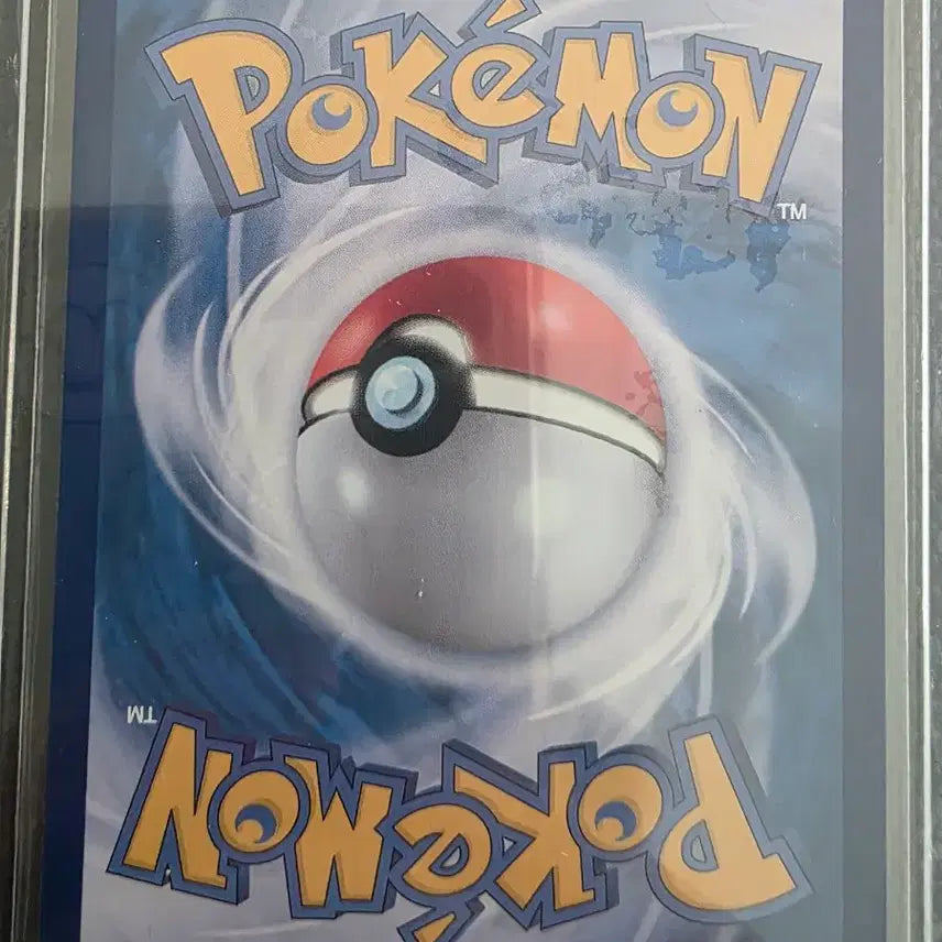 [SOLD OUT] [BUNJANG] Pokemon Card SuicuneV SAR 215/172 / 포켓몬 카드 스이쿤V SAR 215/172