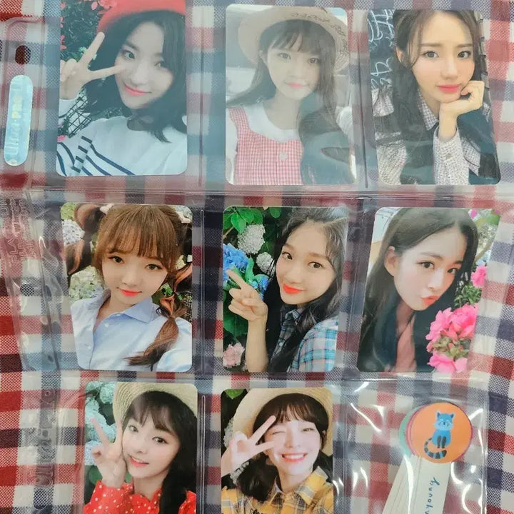 [BUNJANG] fromis_9 "Doogyu Doogyu Today" Photocard Set (16 pcs) / 프로미스나인 두근두근 투데이 포카 16장 팝니다.