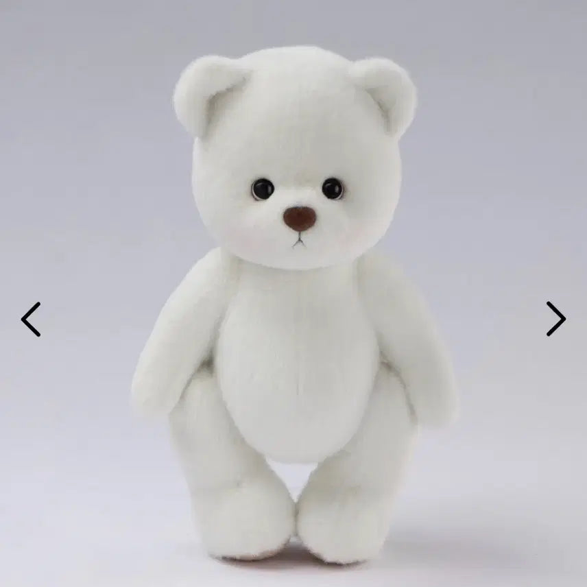 [BUNJANG] Teddy Tales White Short Fur M Size / 테디테일즈 화이트단모 M사이즈 팝니다