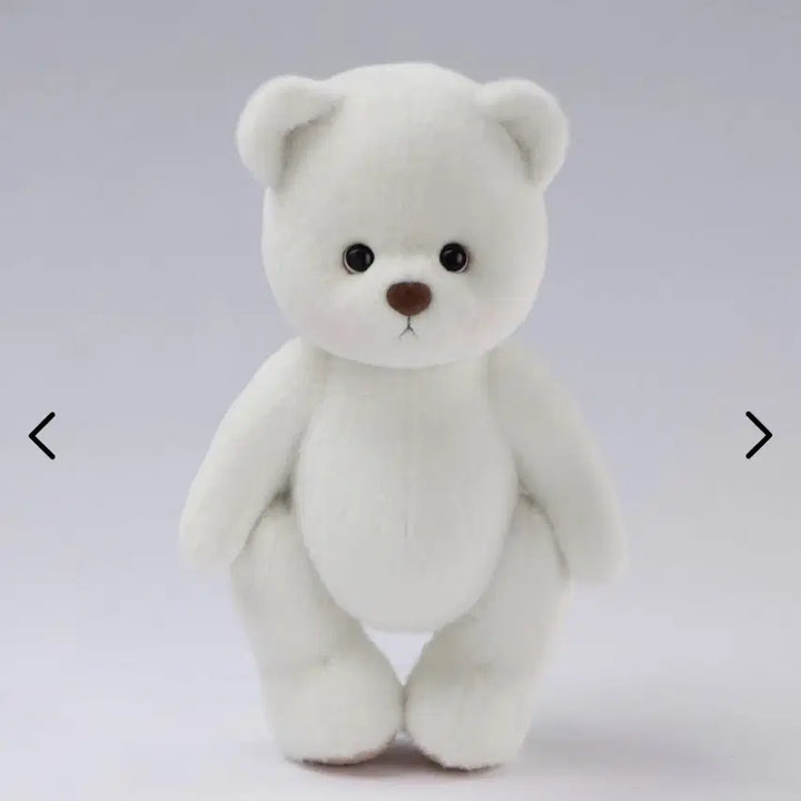 [BUNJANG] Teddy Tales White Short Fur M Size / 테디테일즈 화이트단모 M사이즈 팝니다
