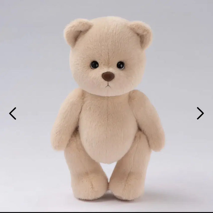 [BUNJANG] Teddy Tails Short Fur Milk Tea M Plush Toy / 테디테일즈 단모 밀크티M 팝니다