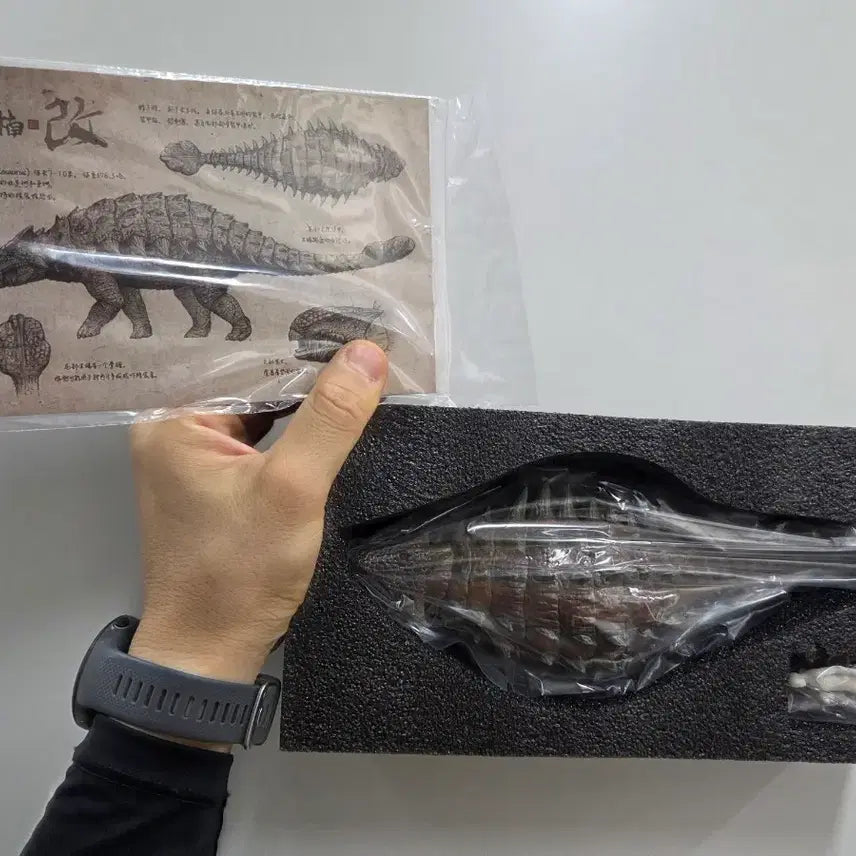 [BUNJANG] Nanmu Studio Ankylosaurus Dinosaur Red / [새상품] 본심남개 Nanmu Studio 안킬로사우루스 공룡 레드색상