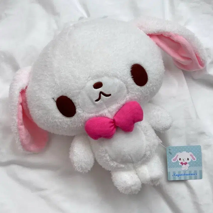[BUNJANG] Sanrio Sugarbunnies Shirousa Plush Doll / 산리오 슈가바니즈 시로우사 인형