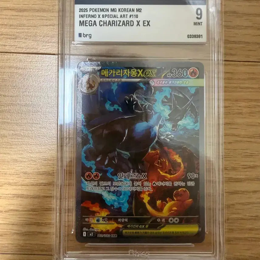 [SOLD OUT] 포켓몬카드 메가리자몽 sar brg 9 판매