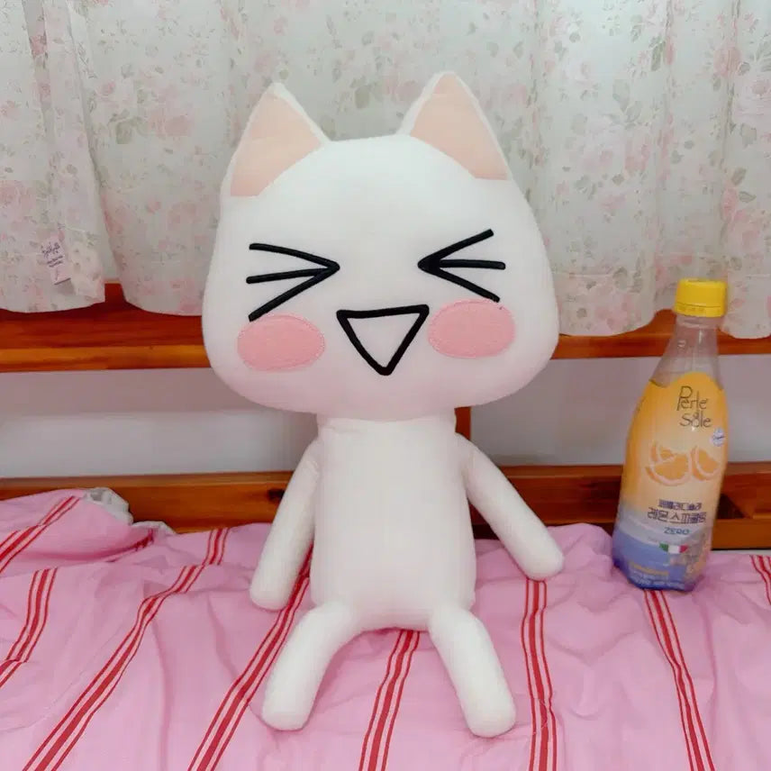 [BUNJANG] Doko Demo Issyo Sitting Toro Large Plush / 도코데모잇쇼 앉아있는 토로 대형 인형