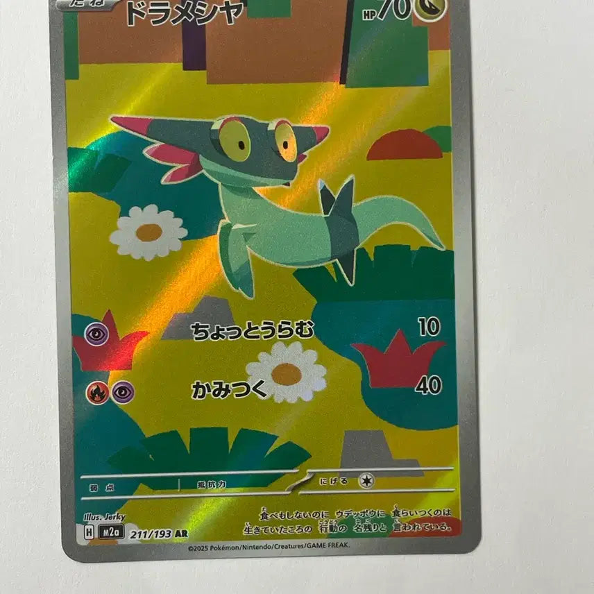 [BUNJANG] Pokemon Card Dragonite AR Japanese / 포켓몬 카드 드라꼰 AR 일판