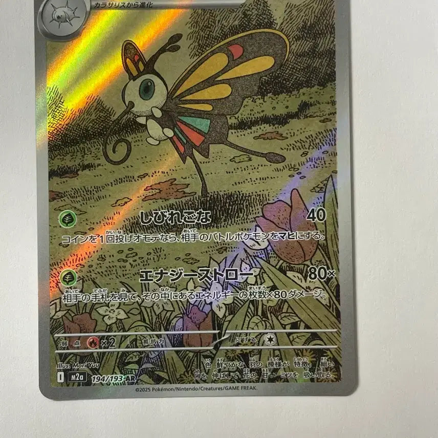 [BUNJANG] Pokemon Card Butterfly AR Japanese Version / 포켓몬 카드 뷰티플라이 AR 일판
