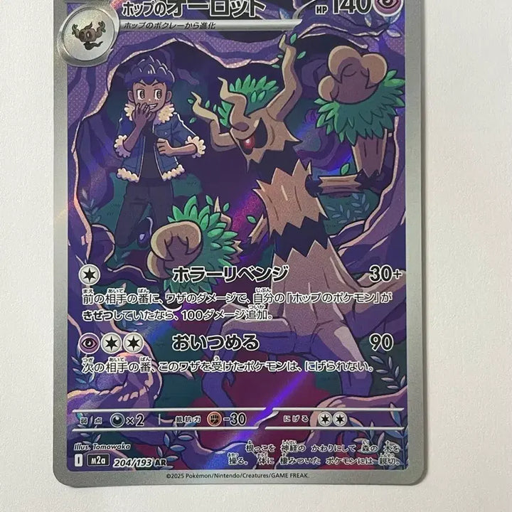 [BUNJANG] Pokemon Card Hob&