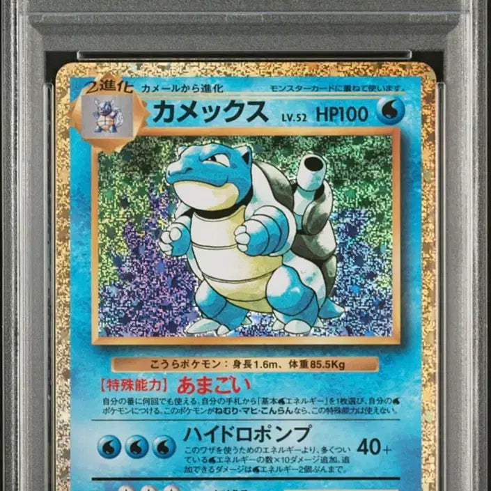 [SOLD OUT] 알판 클래식 거북왕 psa 10