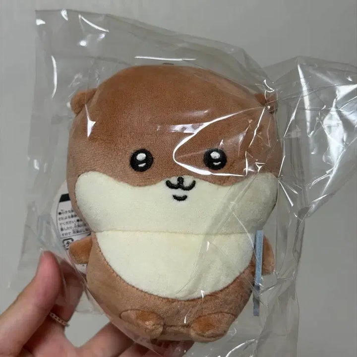 [BUNJANG] Damgom Naganoh Otter Plush / 담곰이 농담곰 나가노 수달(개체이쁨)