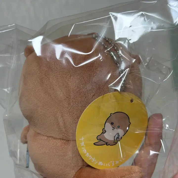 [BUNJANG] Damgom Naganoh Otter Plush / 담곰이 농담곰 나가노 수달(개체이쁨)