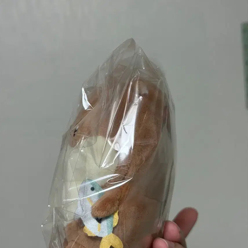 [BUNJANG] Damgom Naganoh Otter Plush / 담곰이 농담곰 나가노 수달(개체이쁨)