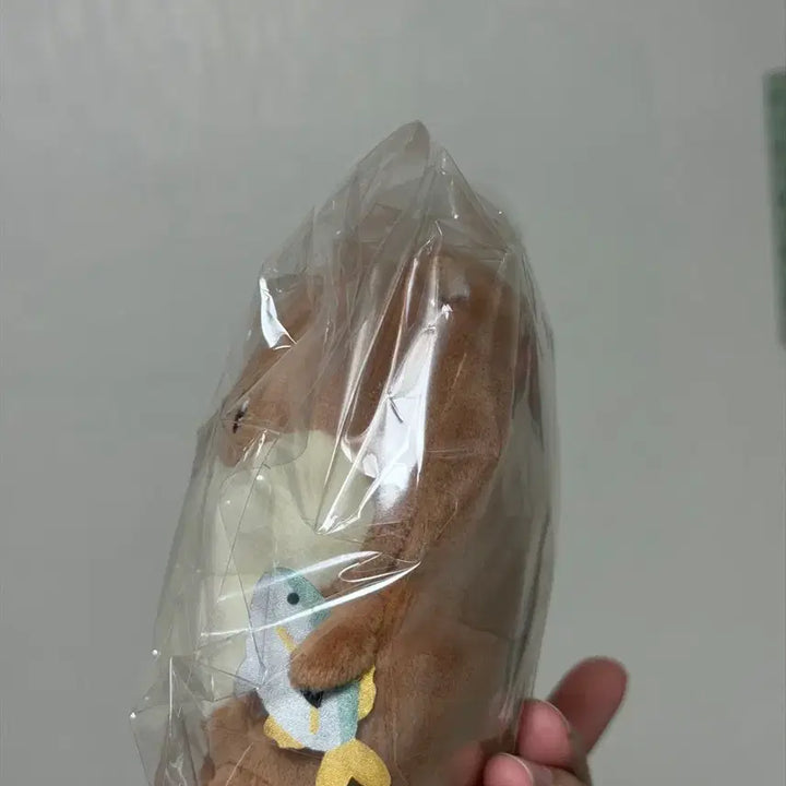 [BUNJANG] Damgom Naganoh Otter Plush / 담곰이 농담곰 나가노 수달(개체이쁨)