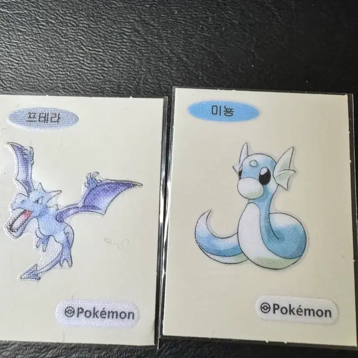 [BUNJANG] Pokemon 30th Anniversary Tteobusi Artwork Set / 포켓몬 띠부실 아트워크 30주년