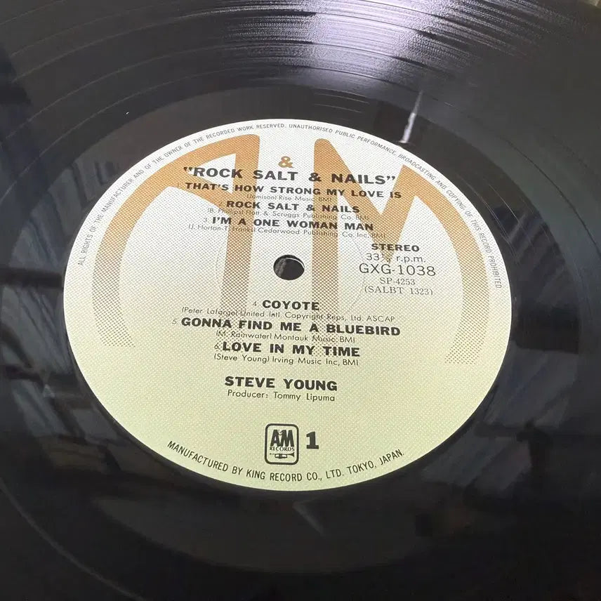 [BUNJANG] Steve Young Rock Salt &amp; Nails (Japanese Original LP) / (일본 LP) Steve Young Rock Salt &amp; Nails 초반