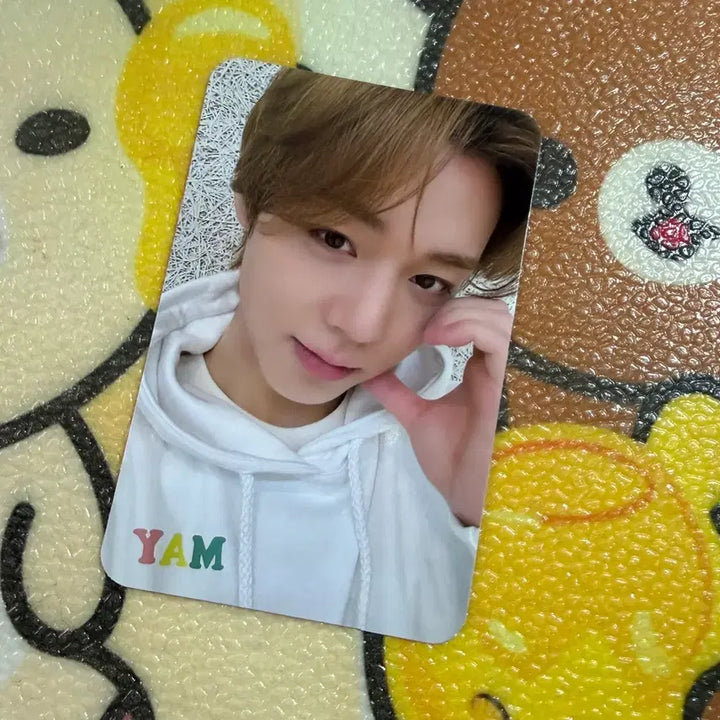 [BUNJANG] Park Ji Hoon Yes24 Exclusive POB Photocard / 박지훈 예스24 포카  특전