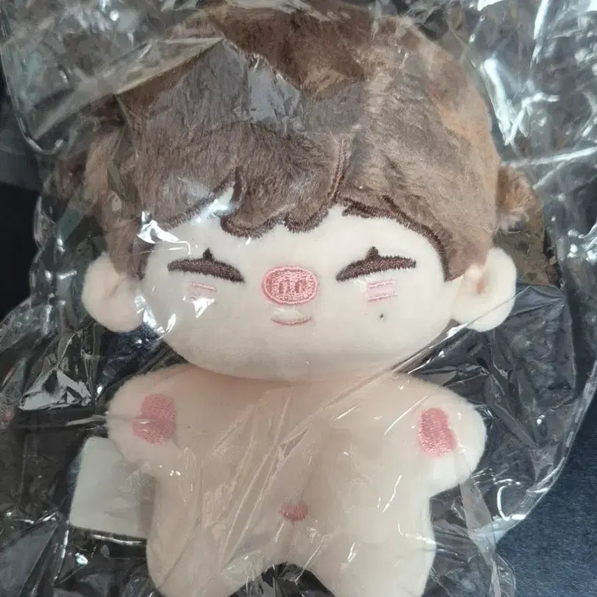 [BUNJANG] ENHYPEN Sunoo Doll Dwaetoni Unsealed / 엔하이픈 선우 인형 돼떤이 양도