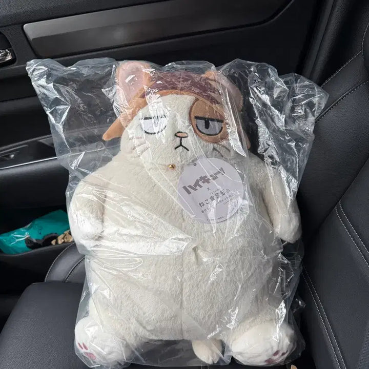[BUNJANG] Haikyuu!! Kozume Kenma Nekoma High School Plush / (최종가격인하) 하이큐 켄마 네코 코우테이칸 인형