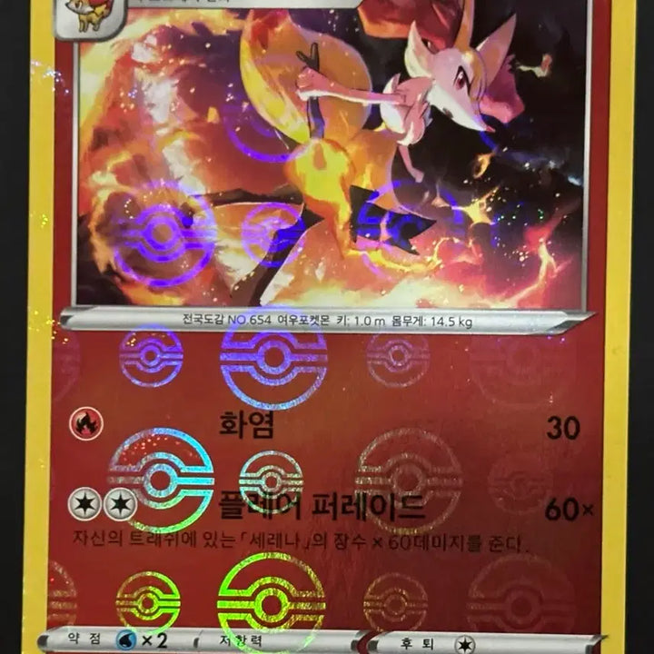 [BUNJANG] Pokemon Card Serena &amp; Terena Monster Ball Set + Bonus / 포켓몬카드 - 세레나 &amp; 테르나 몬스터볼 세트 + 서비스