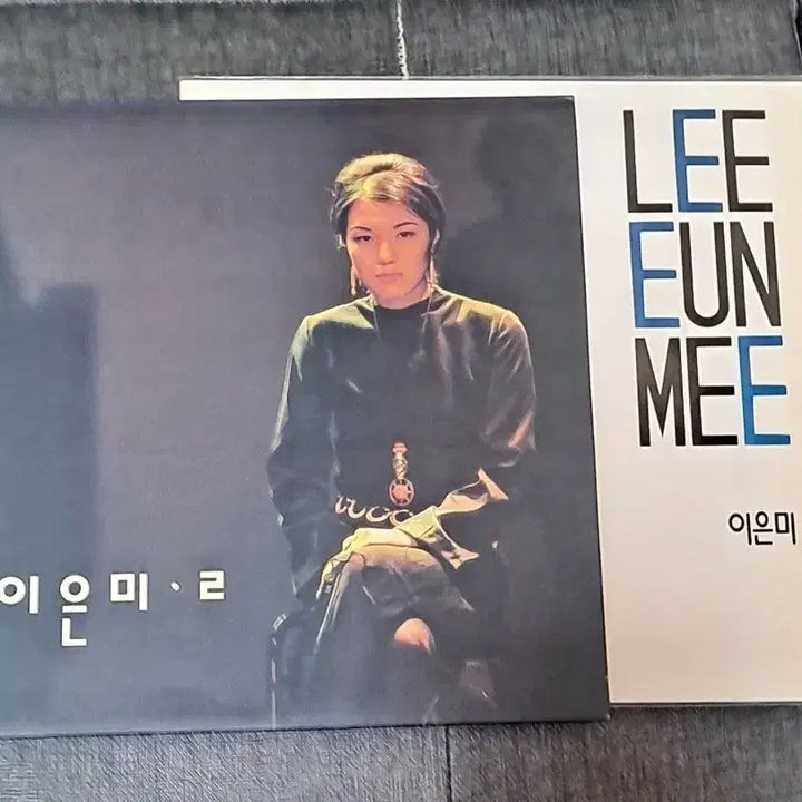 [BUNJANG] Lee Eun Mi 1st &amp; 2nd Album Bundle 2LP / 이은미 1~2집 초반 일괄 2lp
