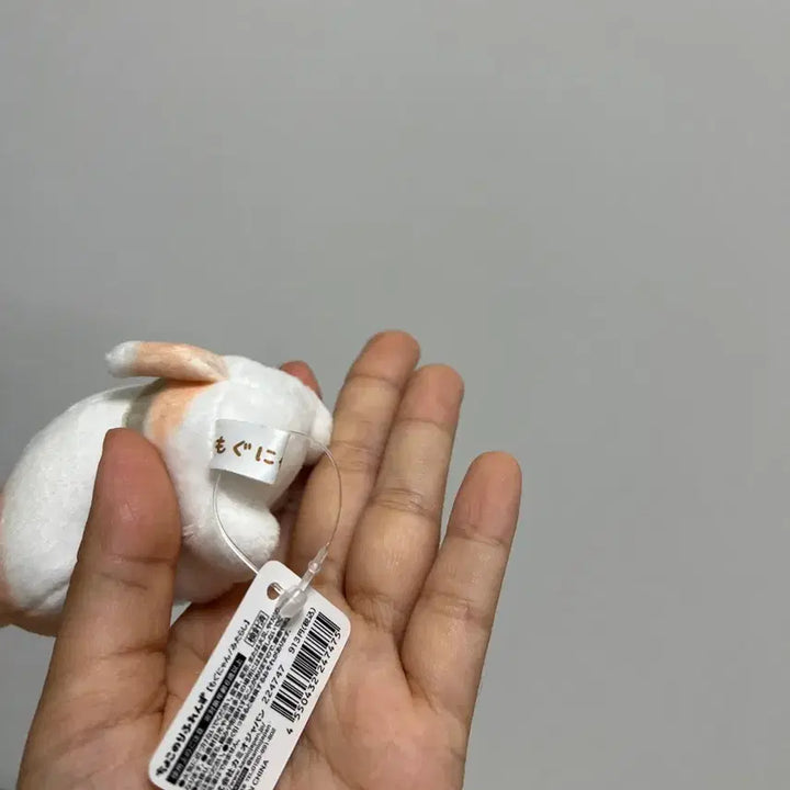 [BUNJANG] Japanese Mochi Bread Cat Plush Toy / 일본 모찌 식빵 고양이 일본 빈티지 인형