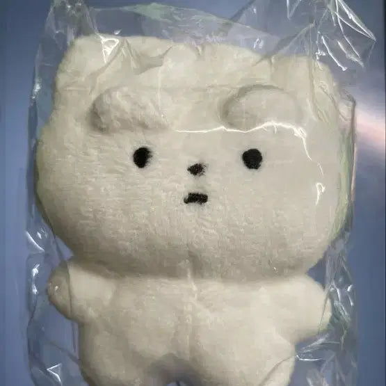 [BUNJANG] Monochi Ta Gyoza-chan Mascot Plush / 모뇨치타 교자짱 마스코트 인형 누이