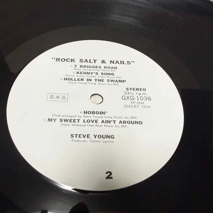 [BUNJANG] Steve Young Rock Salt And Nails Japanese Original Pressing LP (Rare Promo Sample) / (일본 PROMO LP) Steve Young - 일본 초반