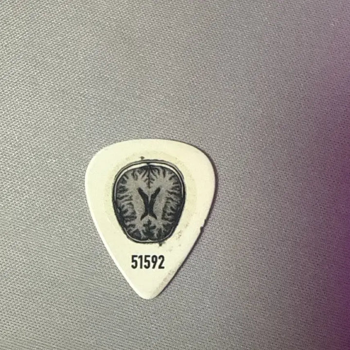 [BUNJANG] King Gnu Tsuneta Daiki Guitar Pick / 킹누 츠네타 다이키한테 직접 받은 피크 판매합니다