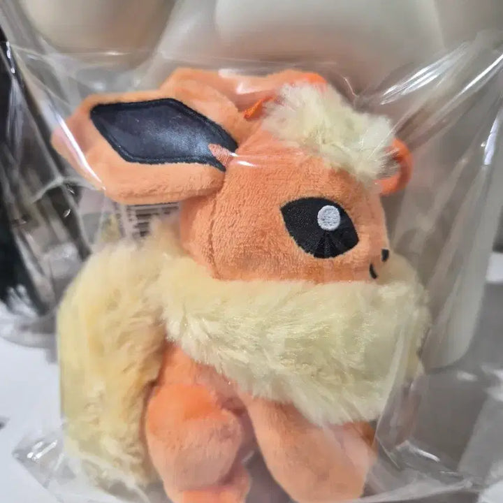 [SOLD OUT] 포켓몬스터 부스터 인형 키링