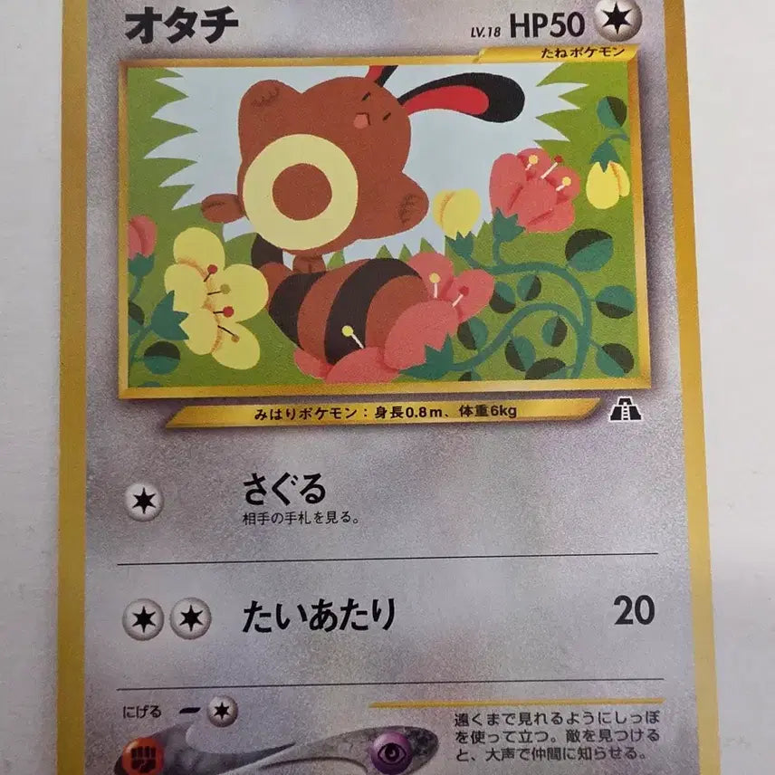 [SOLD OUT] 포켓몬카드 1996 초기