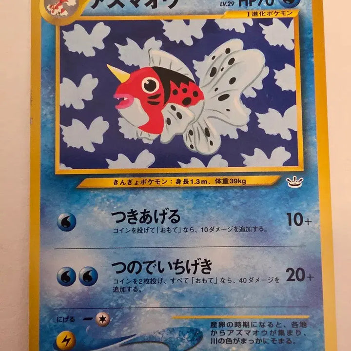 [SOLD OUT] 포켓몬카드 1996 초기
