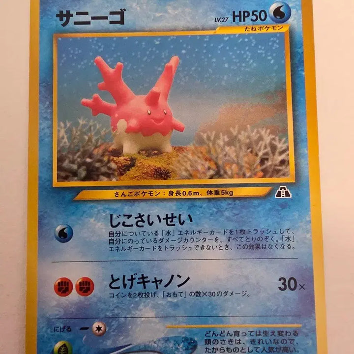 [BUNJANG] Pokemon 1996 First Edition Trading Card / 포켓몬카드 1996 초기