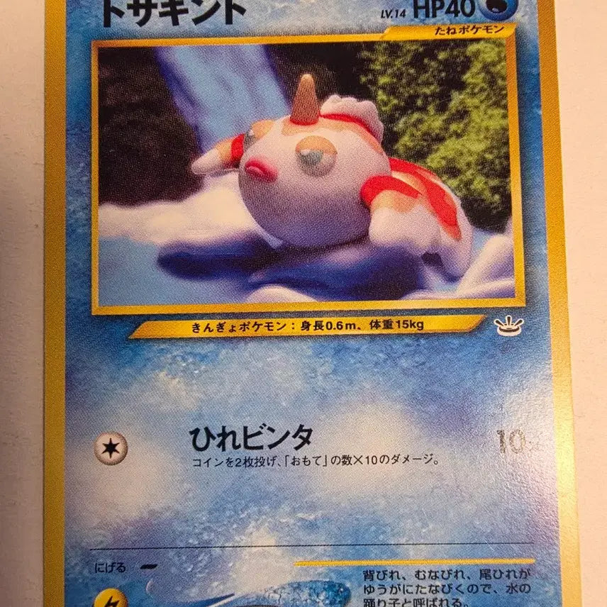 [BUNJANG] Pokemon Card 1996 Early Edition / 포켓몬카드 1996 초기