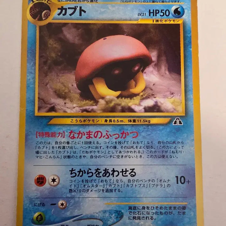 [BUNJANG] 1996 Pokemon Card Set / 포켓몬카드 1996 초기