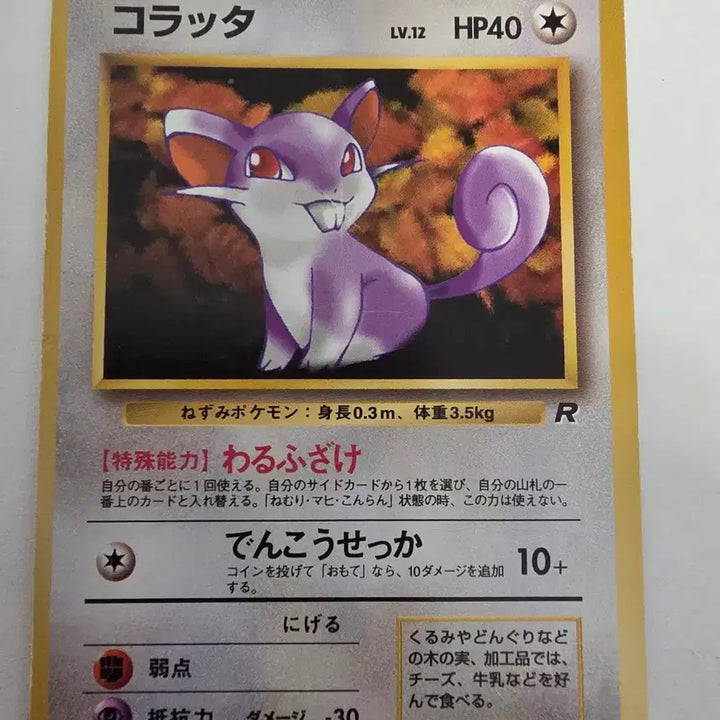[BUNJANG] Pokemon Card 1996 Rattata (First Edition) / 포켓몬카드 1996 초기 꼬렛